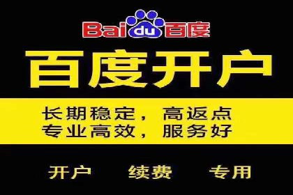竞价代运营成功案例：助力企业抢占市场份额